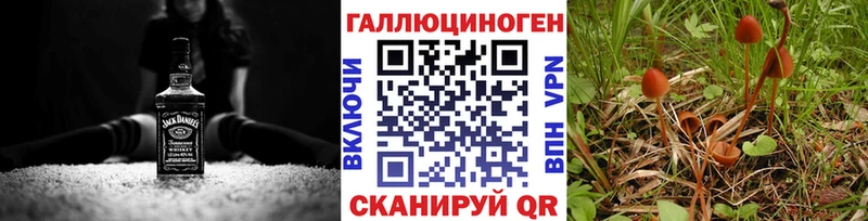 omg ссылки Гороховец Галлюциногенные грибы Psilocybe